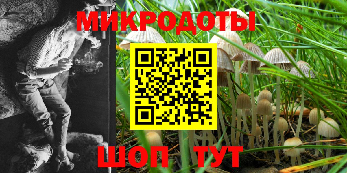 ГАШ Белово
